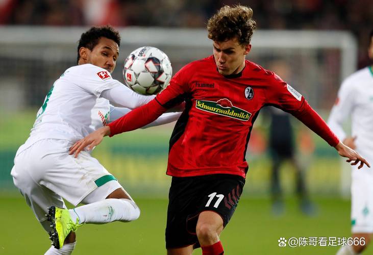 波鸿主场击败弗赖堡，喜迎胜利的简单介绍