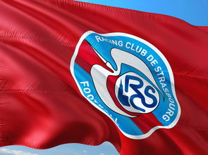 开云体育-帕尔梅拉斯调整进攻阵容，应对强力防守