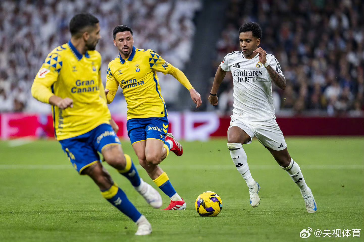 帕尔马客场失分,保级形势堪忧的简单介绍 帕尔马客场失分,保级形势堪忧的简单介绍